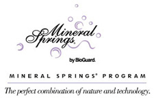 Mineral Spring Salt Pool Chemicals from Bioguard