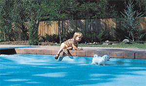 Save-T Pool Cover - Pool Safety - Automatic Pool Cover